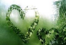 开云官网-河床球迷现场助威，球队士气高涨