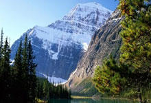 开云体育下载-阿尔艾因攻防转换加快，比赛节奏全面提升