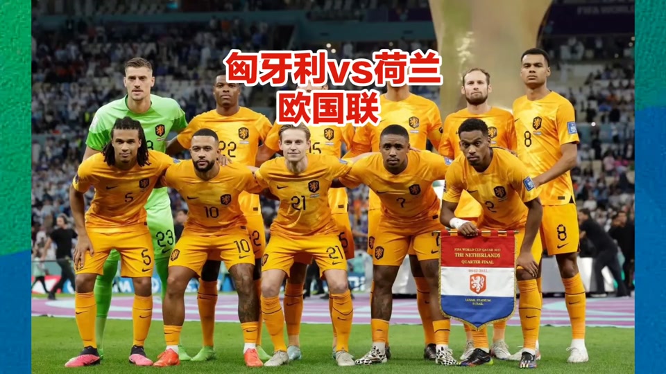 荷兰队逆袭比利时，闯入欧锦赛八强的简单介绍