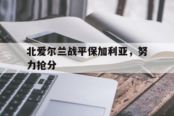 开云体育登录-关于北爱尔兰战平保加利亚，努力抢分的信息