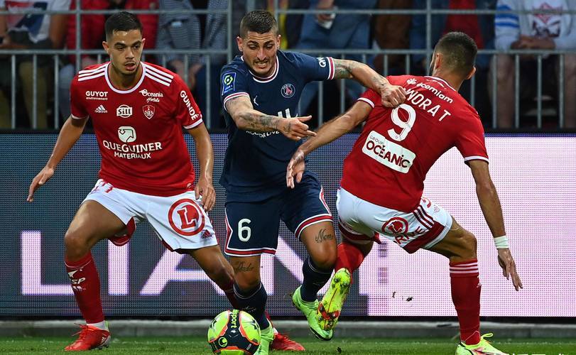 开云平台-关于雷恩队再创新高,成功晋级未来巅峰的信息