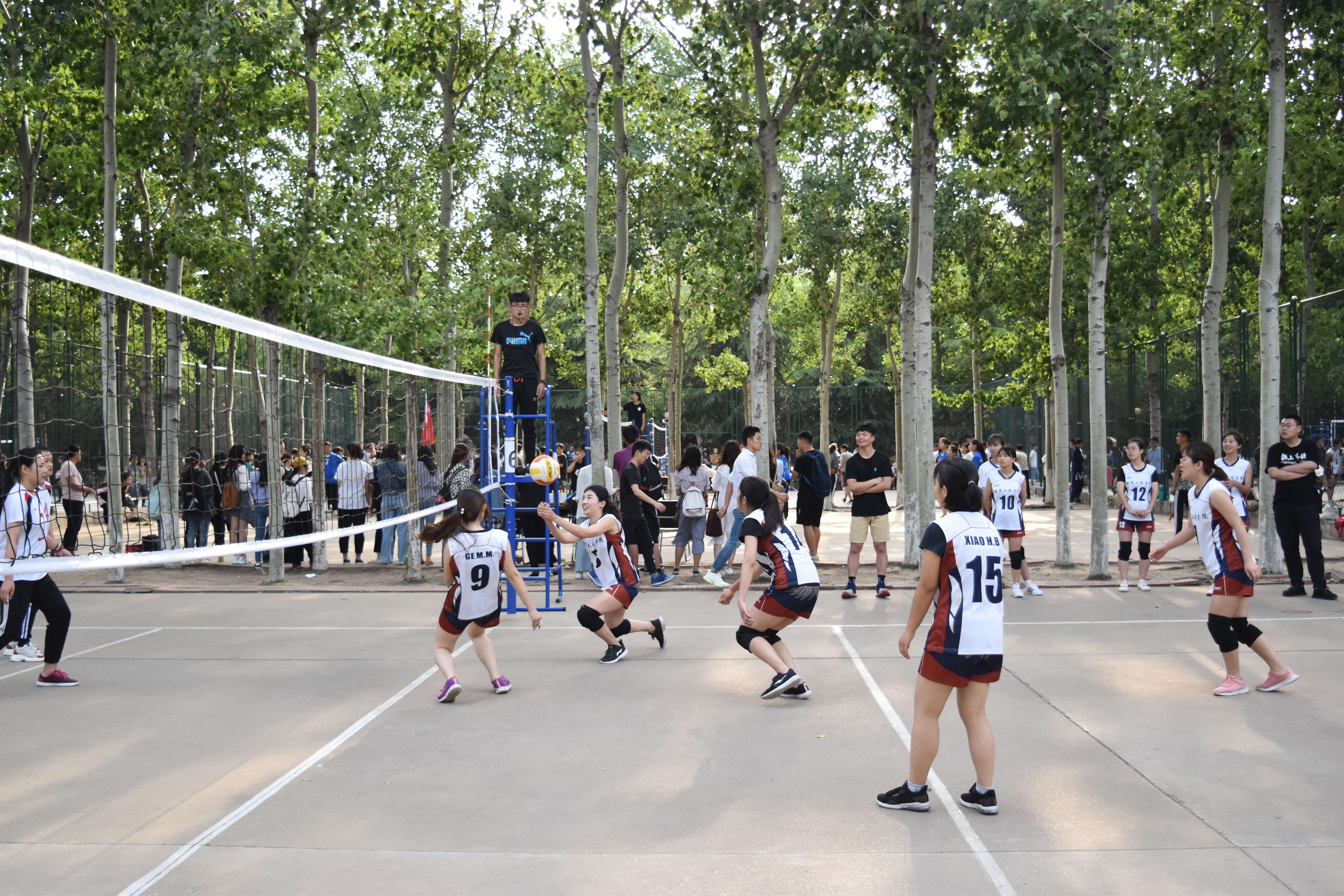 开云官网-荷兰队员喜获佳绩,成绩斐然