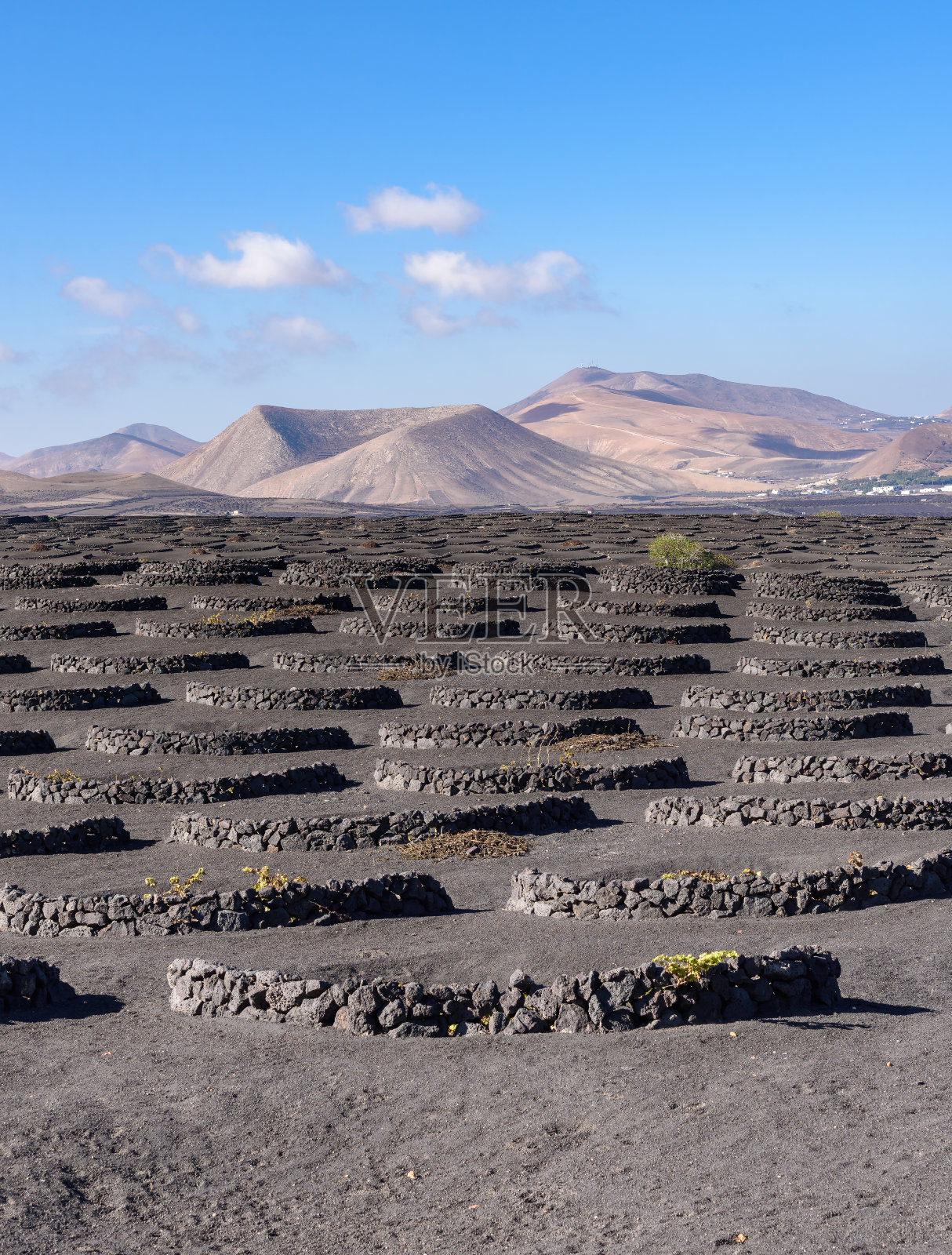 兰萨罗特客场失利，马不停蹄前行的简单介绍
