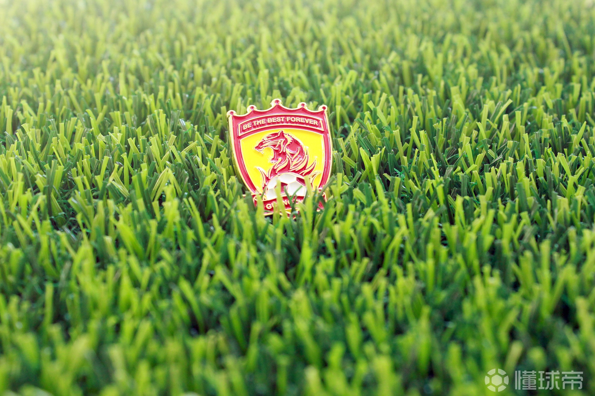 开云平台-广州恒大客场取得惊人的胜利!的简单介绍