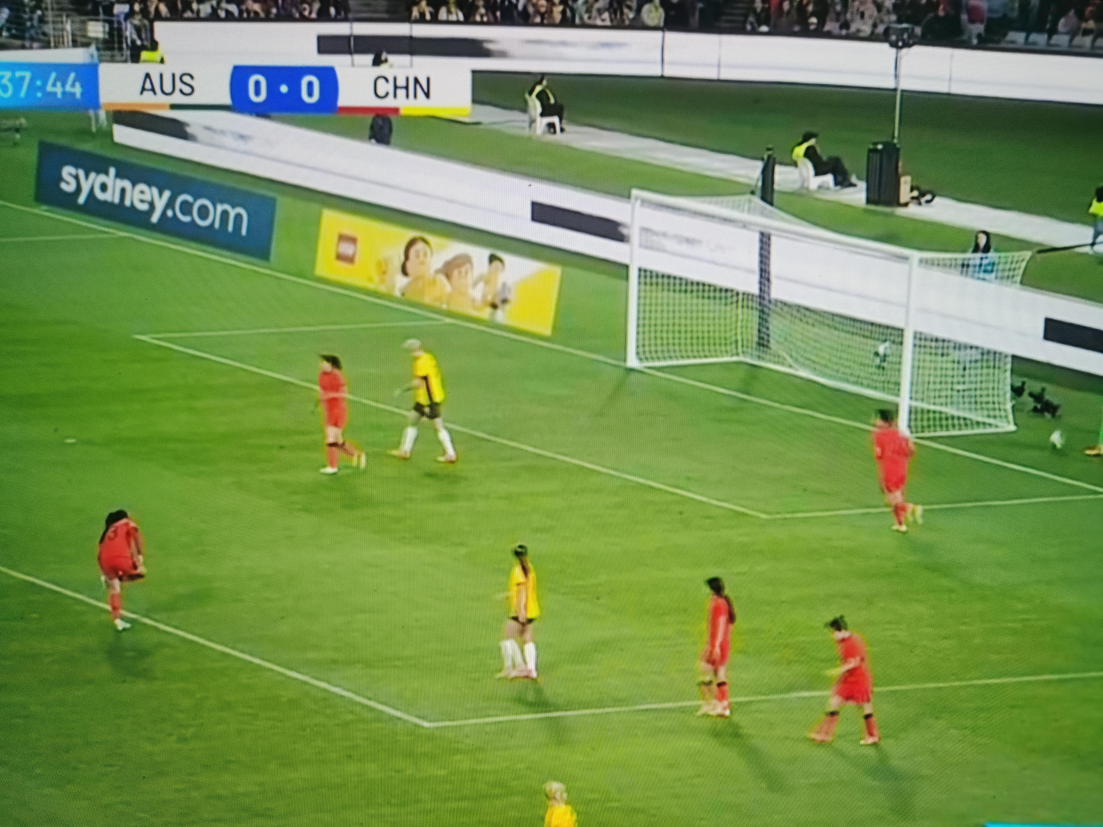 争霸赛场：女足比赛轰动一时的简单介绍