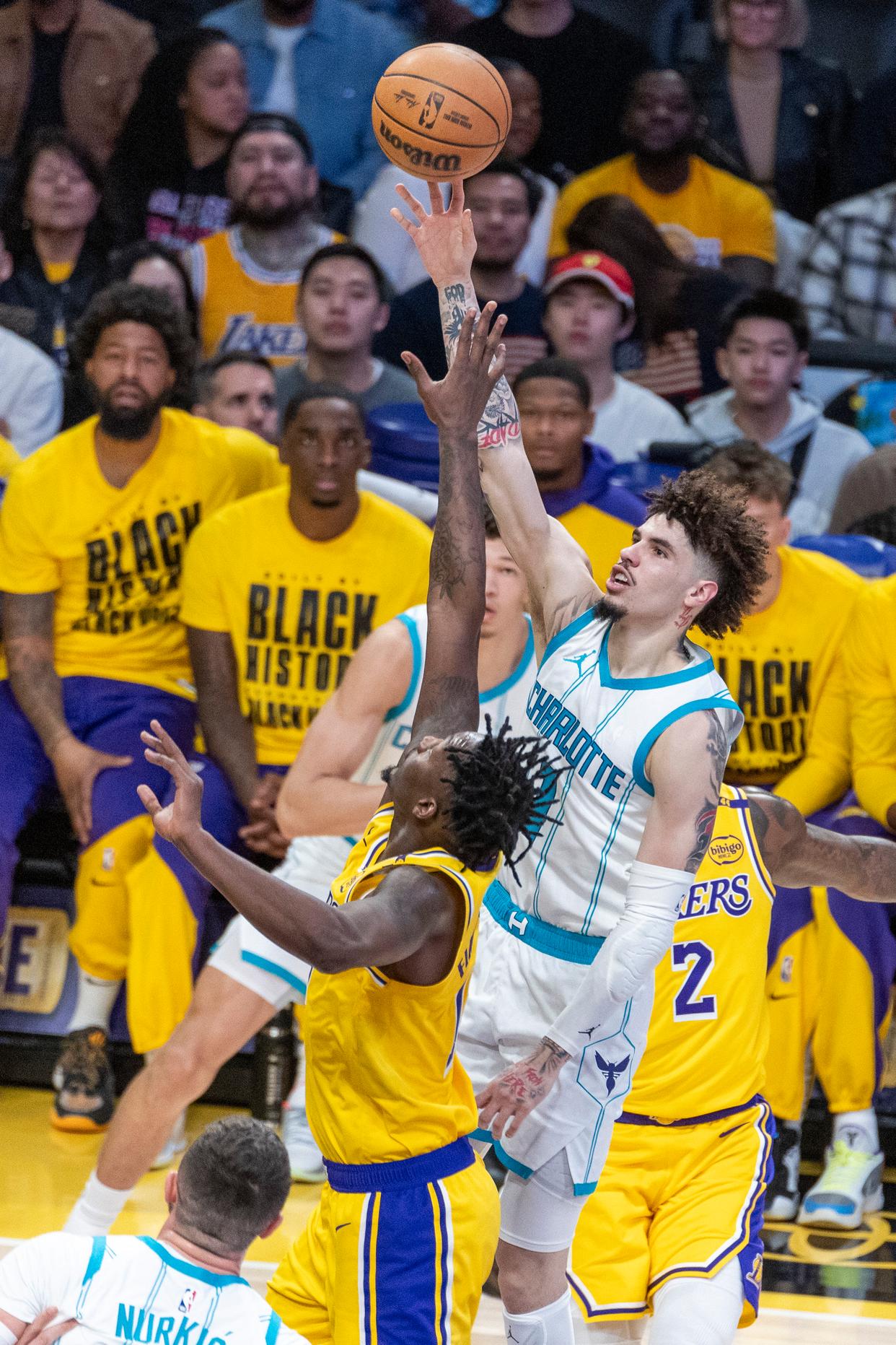 关于篮网主场力克黄蜂，继续高歌猛进的信息