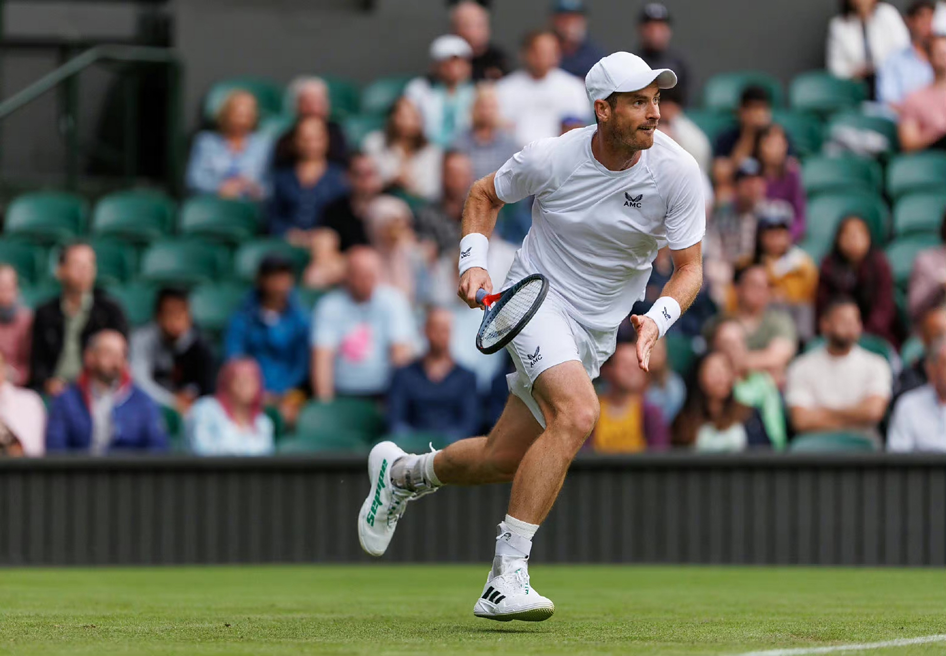 开云APP-温网鏖战美网，穆雷高光表现的简单介绍